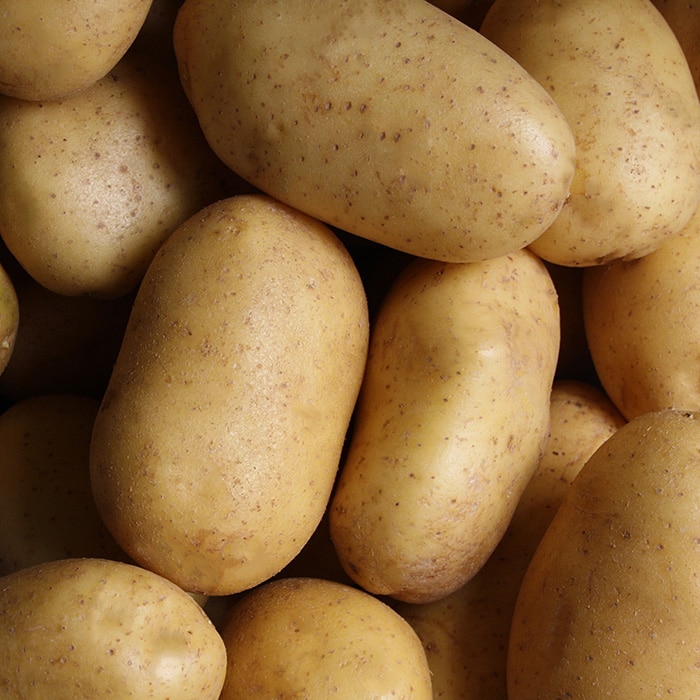 Älskade knölar – Potatis!
