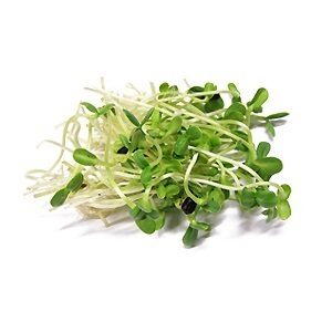 Skott Solrosskott 400g