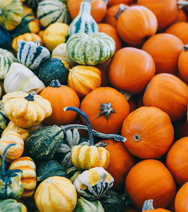 Välkommen härliga oktober månad!