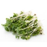Krasse Vatten Skuren 50gr