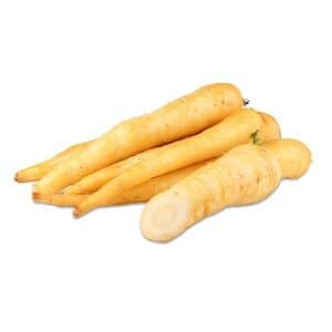 Morot Vit