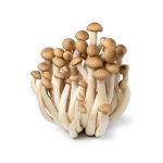 Svamp Shimeji Vit 150gr