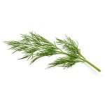 Dill Flow 250g