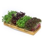 Krasse Micromix 12st Svegro