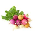 Rädisa Multicolor Vit Röd Lila